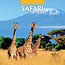 Red Robin Safari Calendar 2025