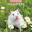 Red Robin Hamster Calendar 2025