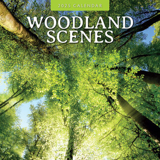 Red Robin Woodland Scenes Calendar 2025