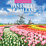 Windmills of Holland Kalender 2025