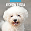 Red Robin Bichon Frise Calendar 2025