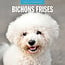 Red Robin Bichon Frise Kalender 2025