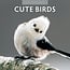 Cute Birds Calendar 2025