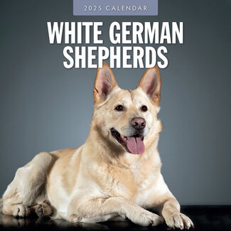 Red Robin White Shepherd Calendar 2025