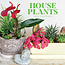 House Plants Calendar 2025