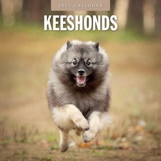 Red Robin Keeshond Calendar 2025