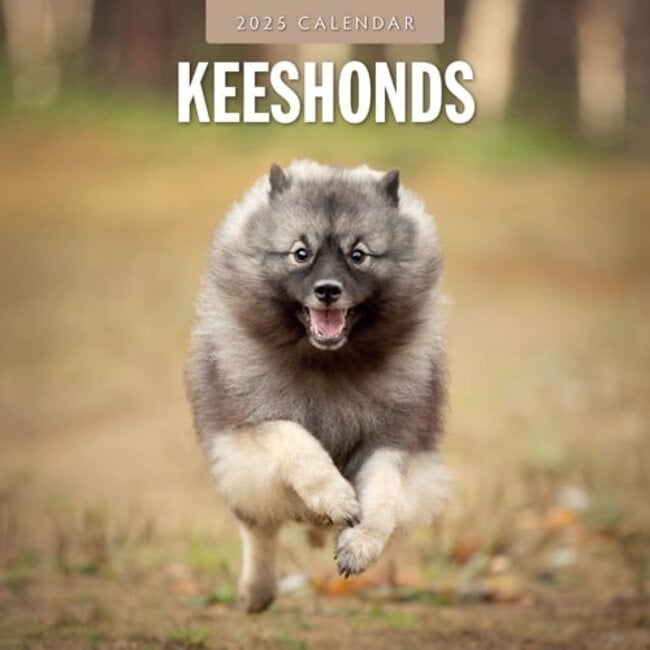 Calendrier Keeshond 2025