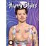 Dream Calendario Harry Styles 2025 A3