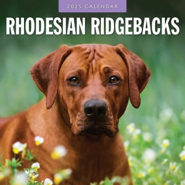 Calendario Rhodesian Ridgeback 2025