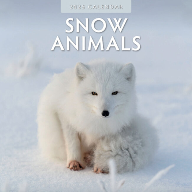 Calendario degli animali della neve 2025