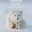 Snow Animals Kalender 2025