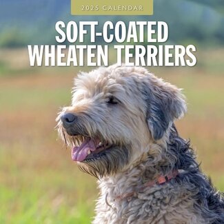 Red Robin Softcoated Wheaten Terrier Calendario 2025
