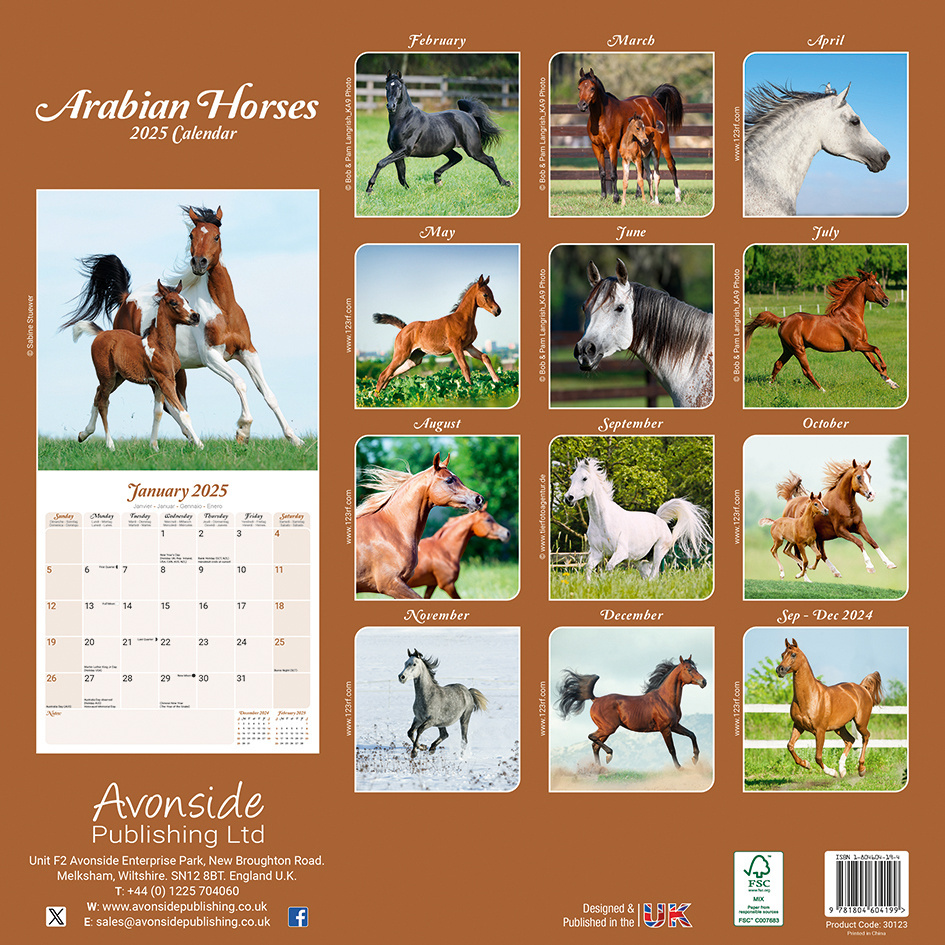 Acheter Arabian Calendar 2025 ? Commande simplement en ligne