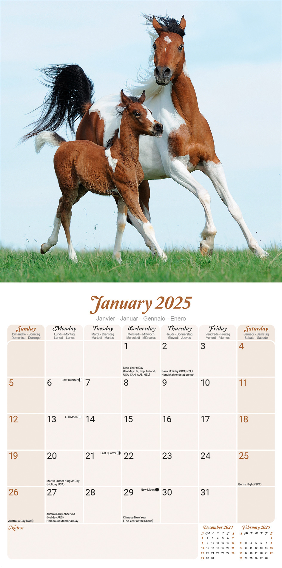 Acheter Arabian Calendar 2025 ? Commande simplement en ligne