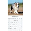 Australian Shepherd Calendar 2025