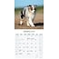 Australian Shepherd Kalender 2025