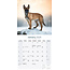 Belgian Shepherd Calendar 2025