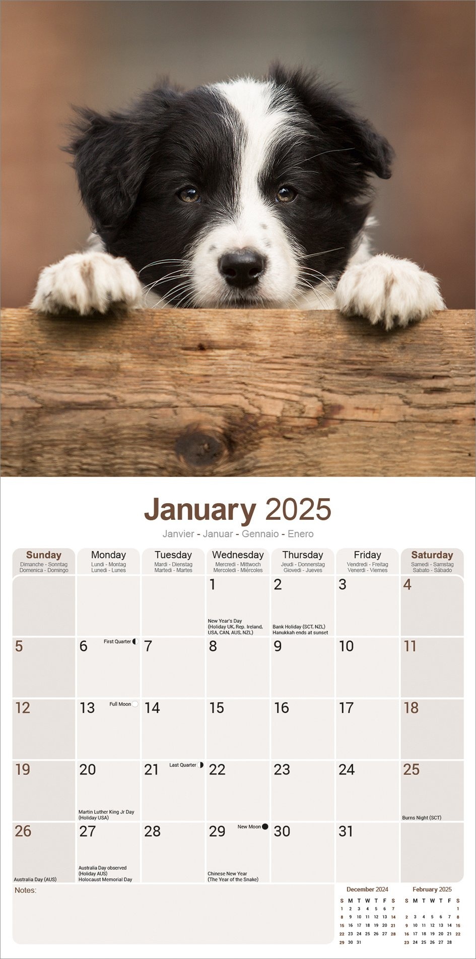 Comprar Calendario Border Collie Cachorros 2025? Simplemente haz tu