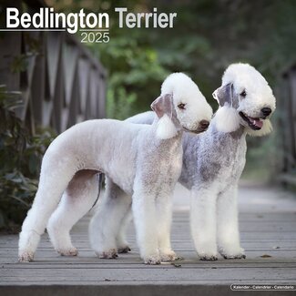 Avonside Calendario Bedlington Terrier 2025