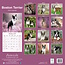 Boston Terrier Calendar 2025