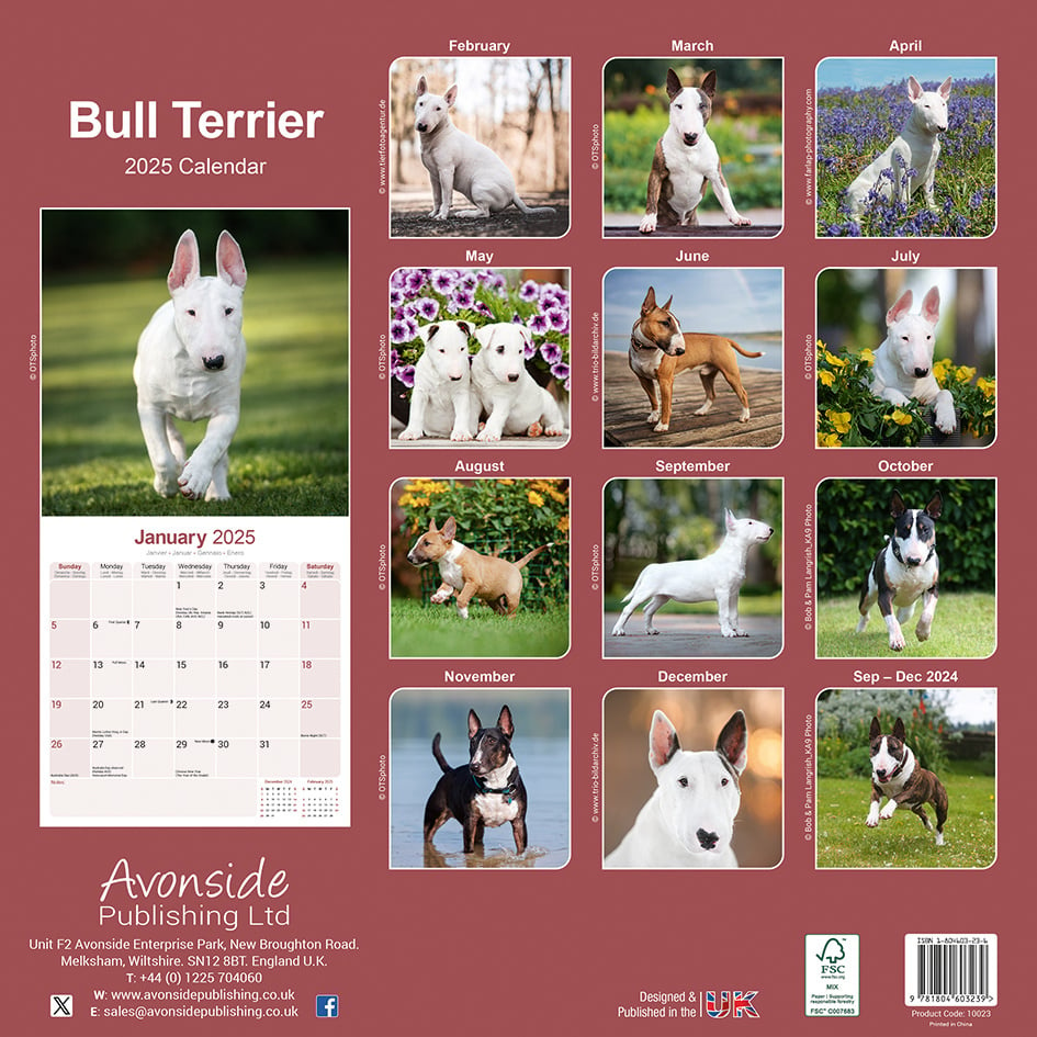 Comprar Calendario Bull Terrier 2025 Haz tu pedido online de forma