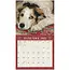 Dogs we Love Calendar 2025