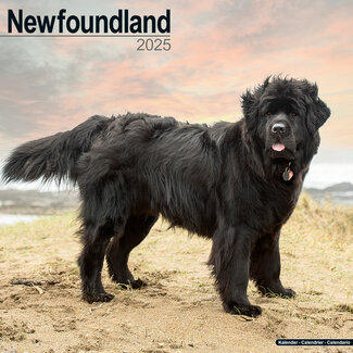 Avonside Newfoundlander Kalender 2025