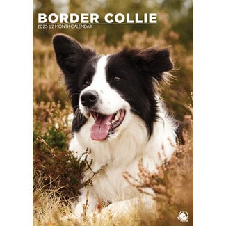 CalendarsRUs Border Collie Calendario A3 2025