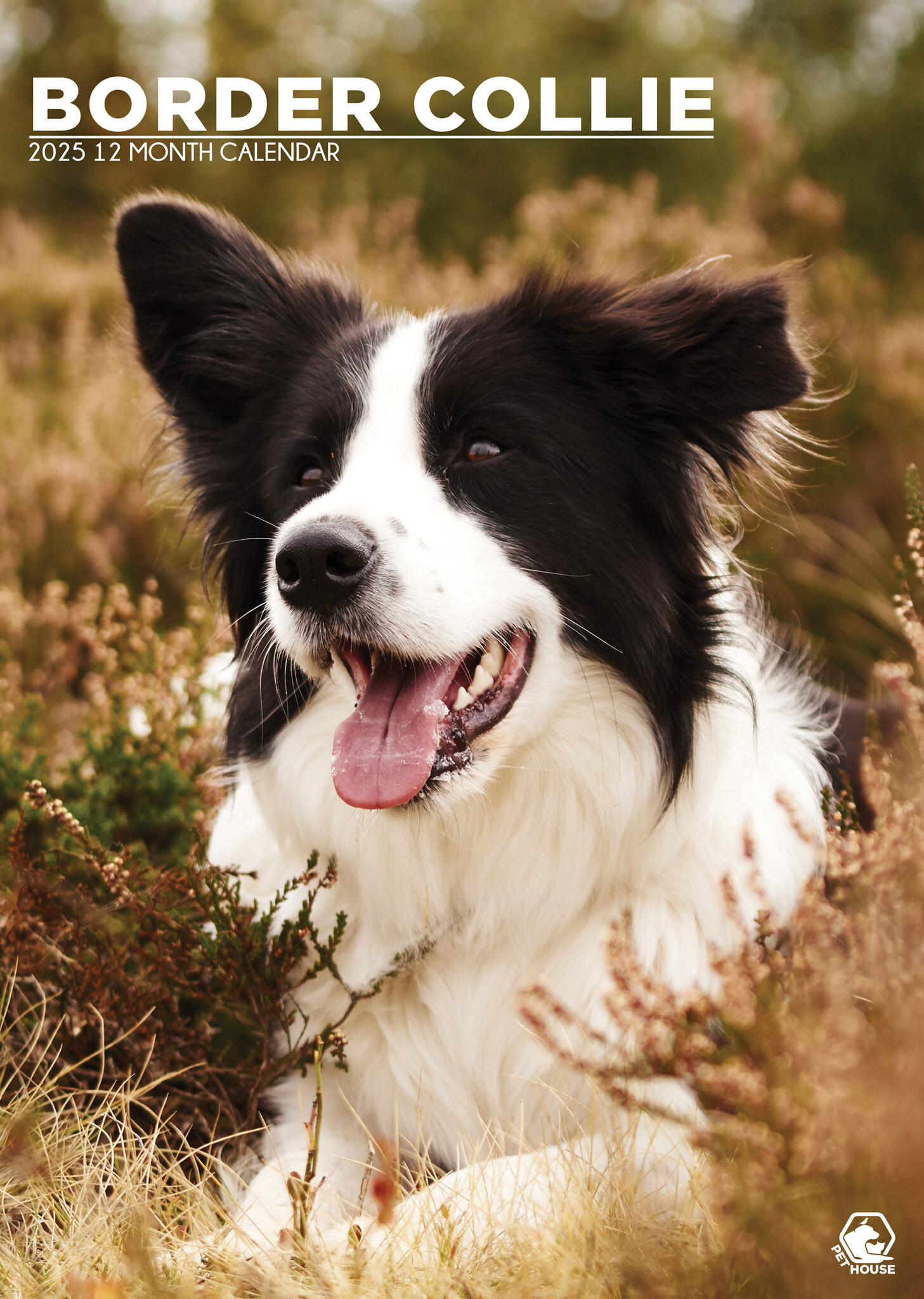 Border Collie Calendario A3 2025 Haz tu pedido online de