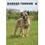 CalendarsRUs Border Terrier A3 Kalender 2025