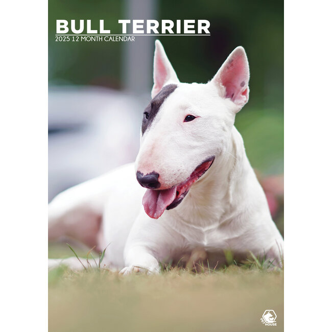 Bull Terrier Calendario A3 2025