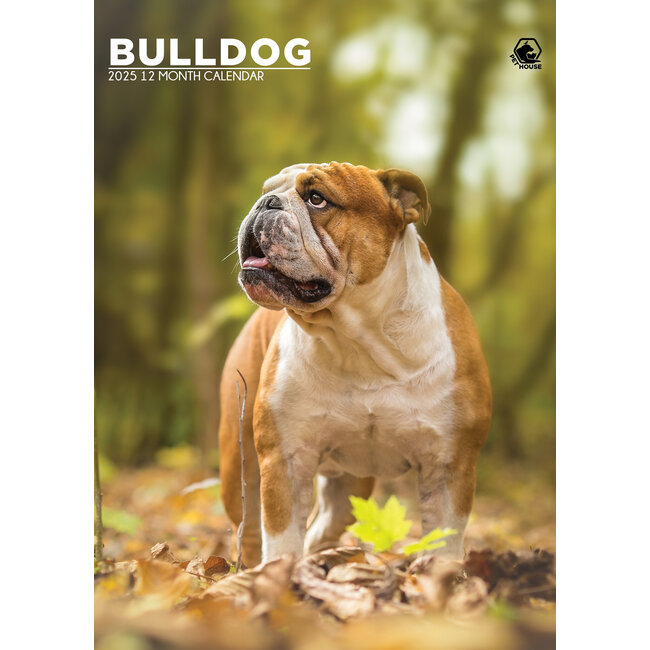 CalendarsRUs Calendario A3 Bulldog inglese 2025