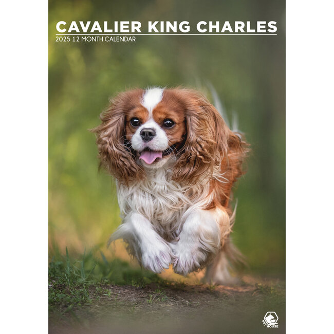 Cavalier King Charles Spaniel A3 Calendar 2025