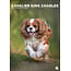 CalendarsRUs Cavalier King Charles Spaniel A3 Kalender 2025