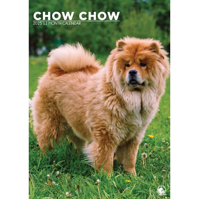 Chow Chow A3 Calendrier 2025