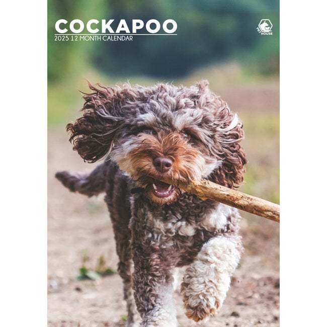 Cockapoo A3 Kalender 2025