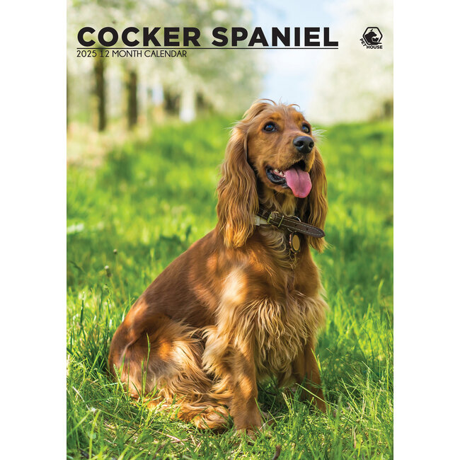 Engelse Cocker Spaniel A3 Kalender 2025