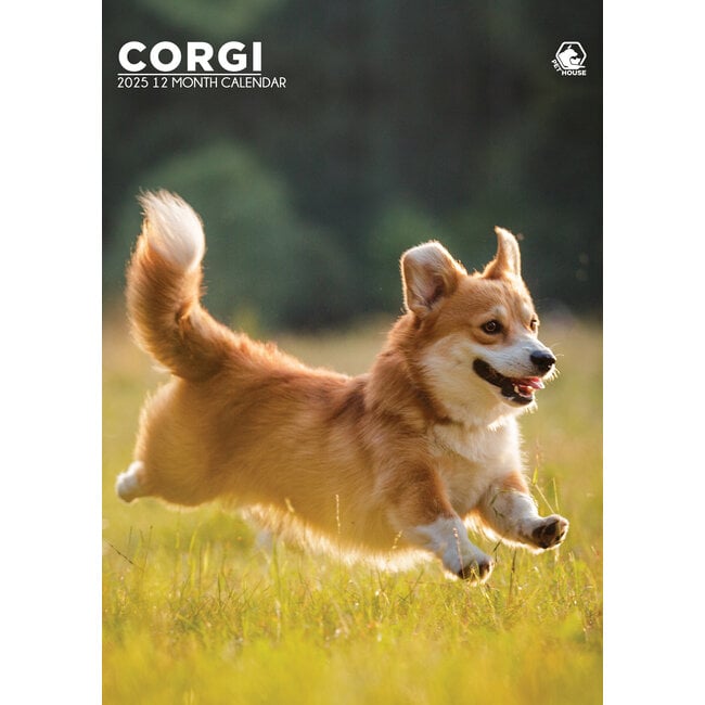 Welsh Corgi Calendario A3 2025