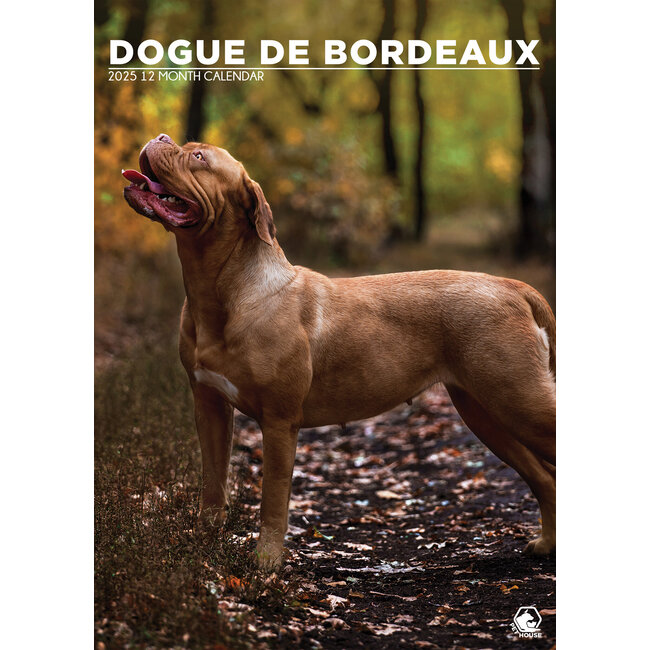 Calendario A3 del cane Bordeaux 2025