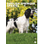 CalendarsRUs English Springer Spaniel A3 Calendar 2025