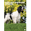 CalendarsRUs Springer Spaniel Inglés Calendario A3 2025