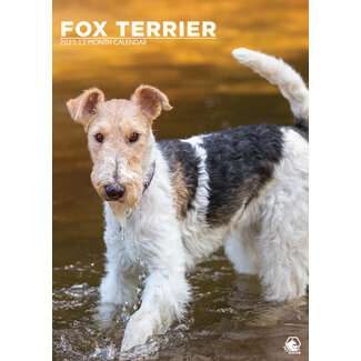 CalendarsRUs Fox Terrier Calendrier A3 2025