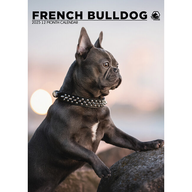 Franse Bulldog A3 Kalender 2025
