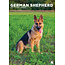 CalendarsRUs German Shepherd A3 Calendar 2025