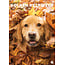 CalendarsRUs Golden Retriever A3 Kalender 2025