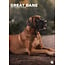 CalendarsRUs Great Dane A3 Calendar 2025