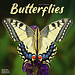 Avonside Schmetterlingskalender 2025