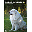 CalendarsRUs Pyrenean Mountain Dog A3 Calendar 2025