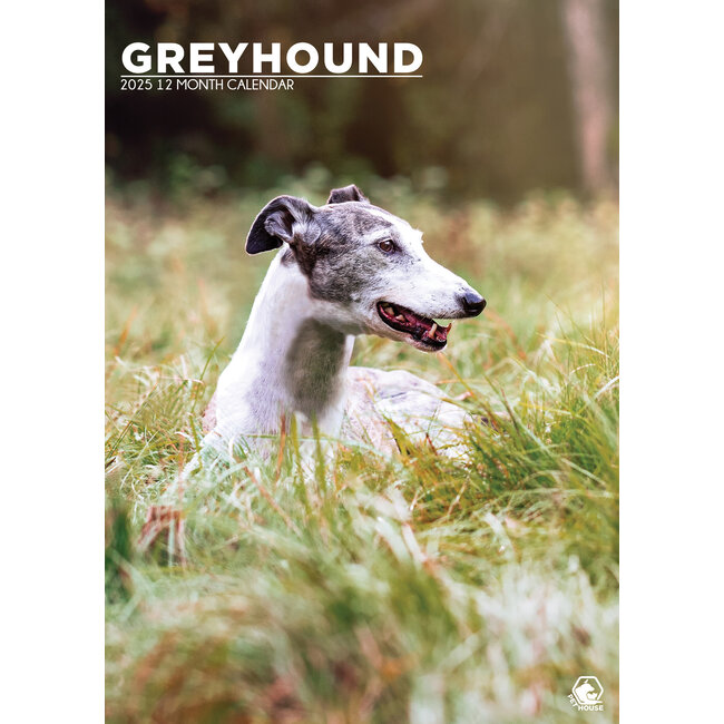 CalendarsRUs Greyhound A3 Calendar 2025