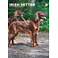 CalendarsRUs Irish Setter A3 Calendar 2025